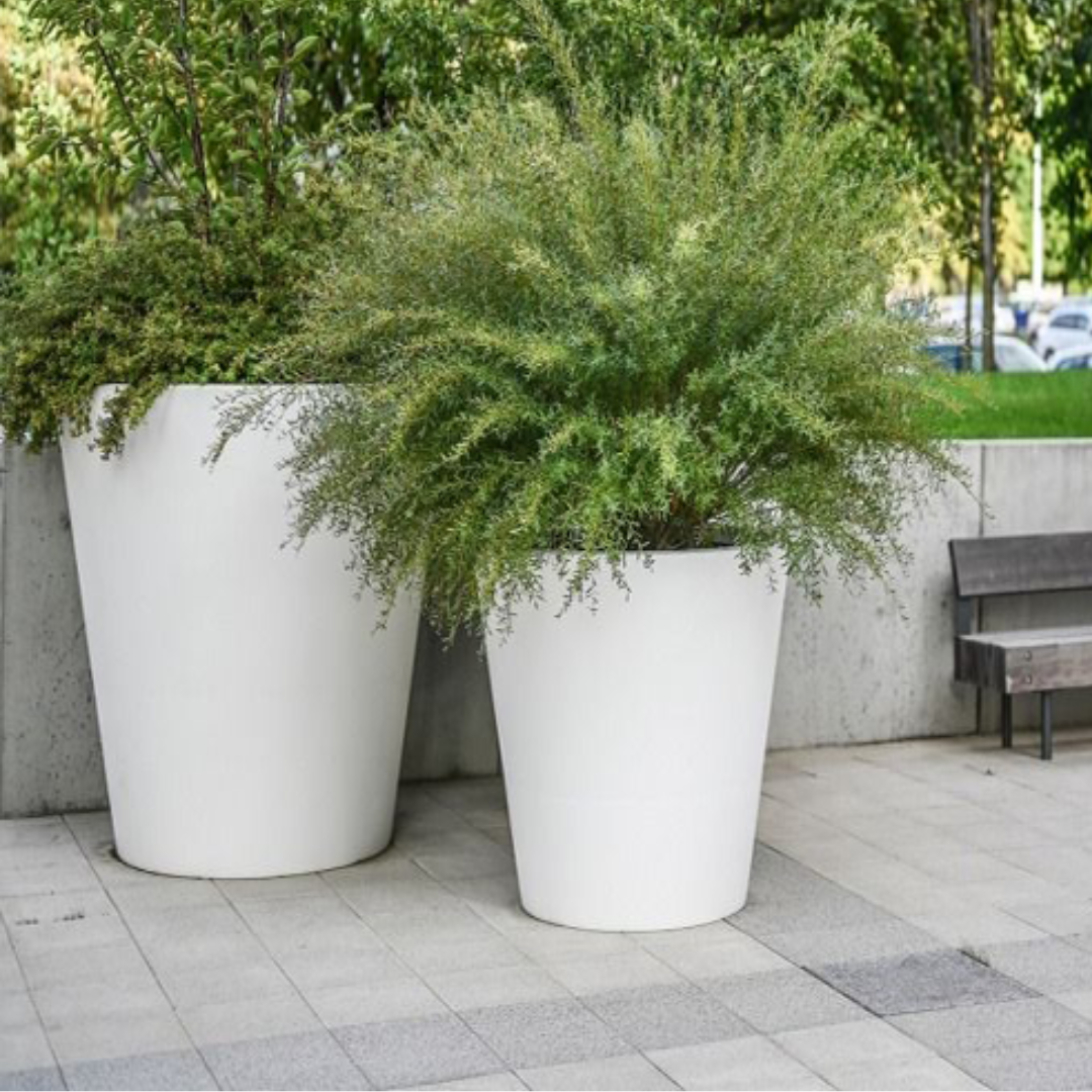 Modelo Horizonte - Image 3