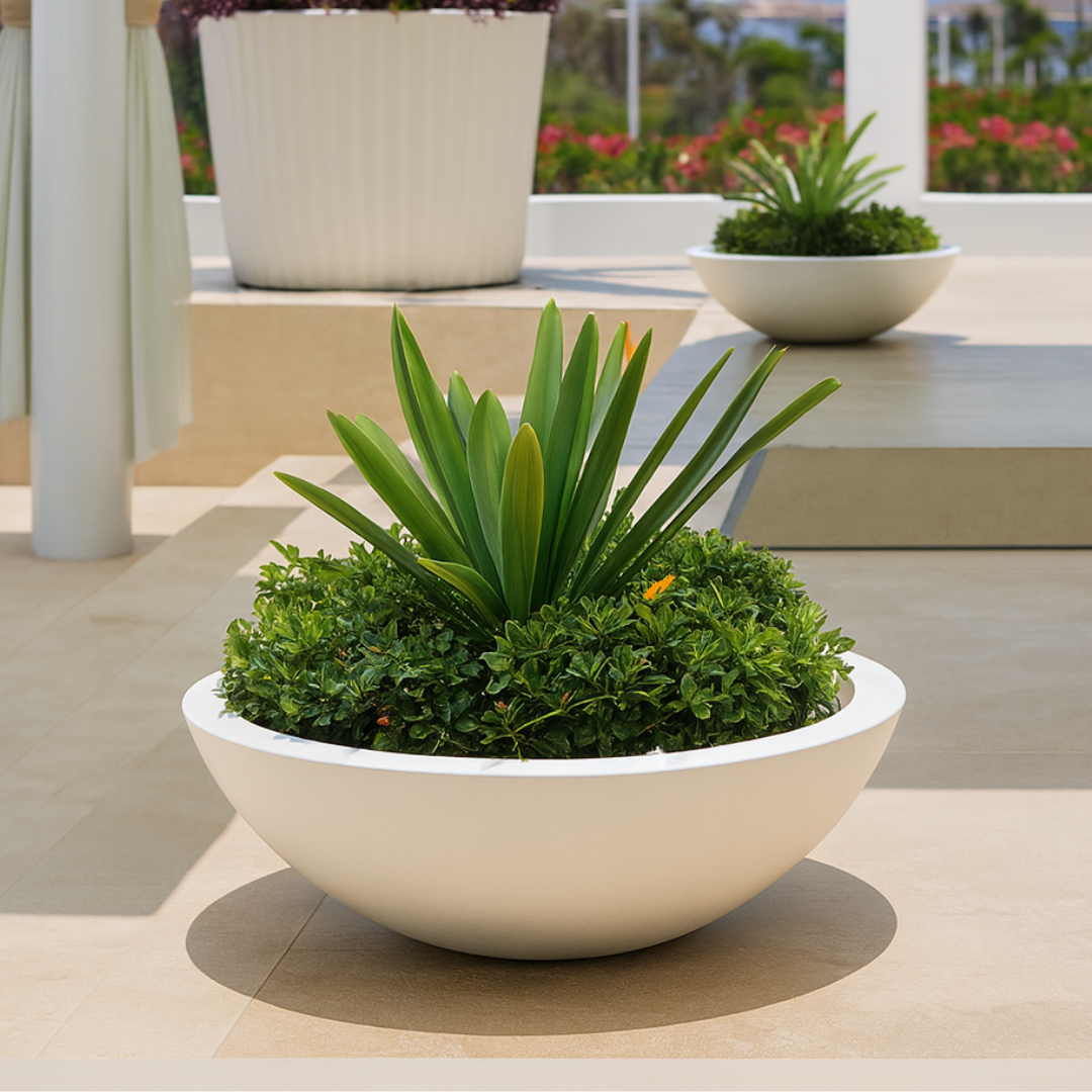 Modelo Oasis - Image 2