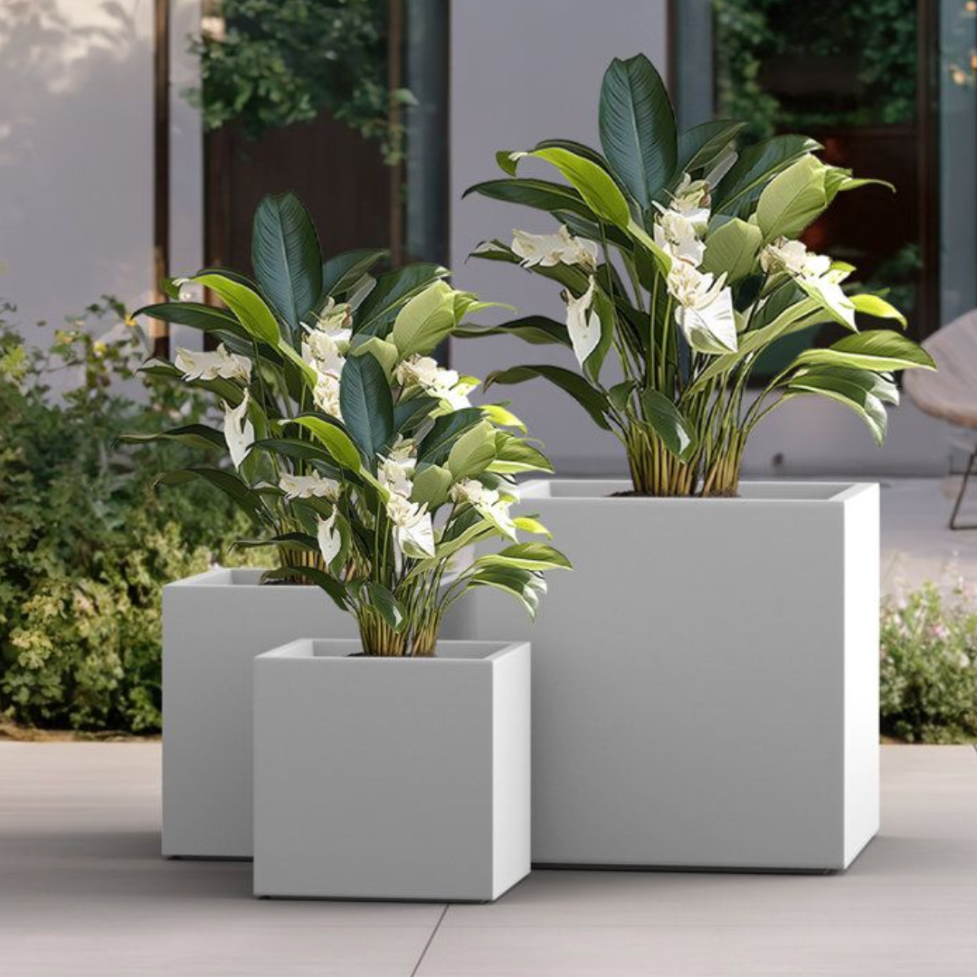 Modelo Prisma - Image 2