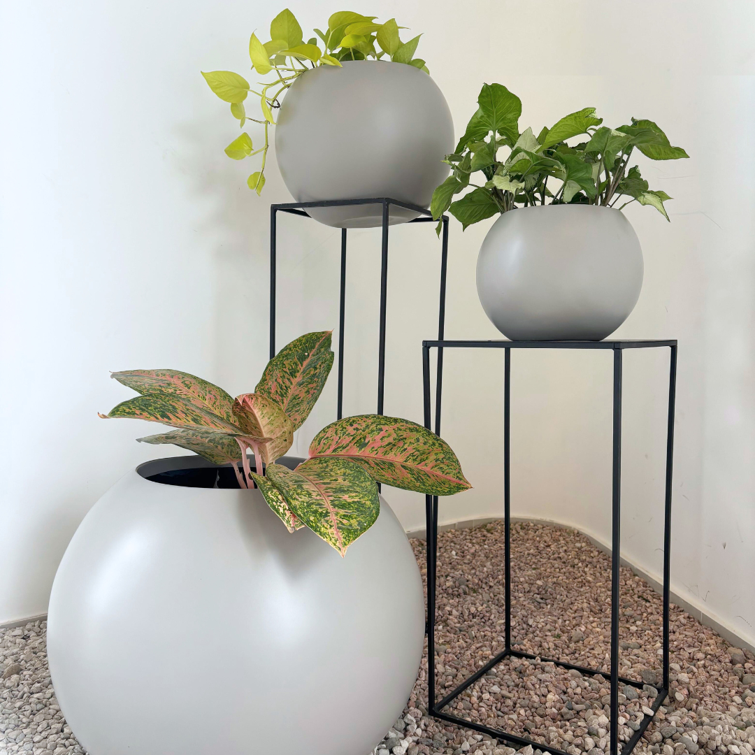 Modelo Ciclo - Image 2